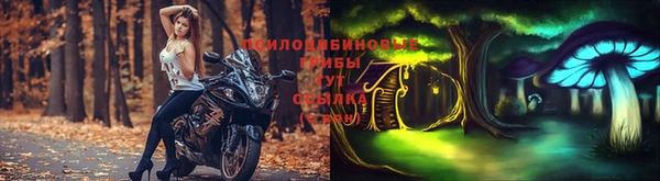 Альфа ПВП Арсеньев