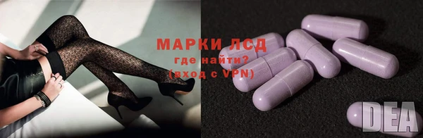 spice Беломорск