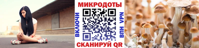 МЕГА ссылка  Красково  Галлюциногенные грибы Cubensis  купить наркотик 